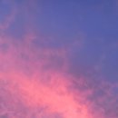 벽천농장 이미지