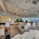 KNOLLO(놀로) 이미지