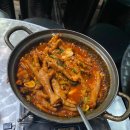 닭발포차 티스토리