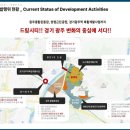 드림씨티개발