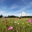 하늘메디칼 이미지