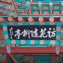 수원-1495 이미지