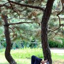 잠이솔솔 이미지