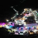 대나무랜드 이미지