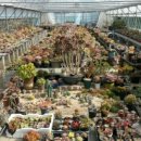 가조농장 이미지