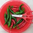 박순원 에스앤비의원 이미지