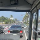 관덕정약국 이미지