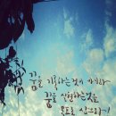 노란풍선 이미지