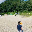 방목목장 | 홍천여행, 휘바핀란드 목장후기, 방목목장, 실내동물원이 있는곳, 36개월 미만 무료