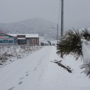 덕보농장 이미지