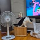 임동진한의원 이미지