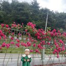 청와대세트장화장실 이미지