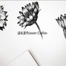 아기자기 수채캘리그라피 이미지