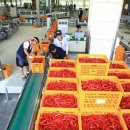 영양고추유통센터 이미지