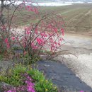 계백농장 이미지