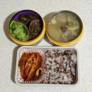 좋은날엔물회랑찌개랑 | 260316-260322 좋음, 좋음, 좋음의 연속이었던 일상