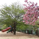 가북초등학교 이미지