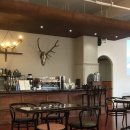 카페템스 이미지