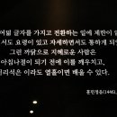 국립중앙박물관국립한글박물관 Daum카페