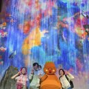 파주우체국 | 파주 놀이구름 예약없이 주말오픈런 후기 아기랑 가볼만한곳 추천