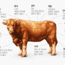 성인축산 네이버블로그