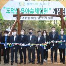 도덕산공원(야외음악당) 이미지