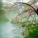 GS25 뉴성북 동아점 이미지