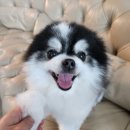멈머