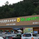 33rd.청태산자연휴양림 가족 힐링캠프