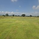 로얄골프클럽 이미지