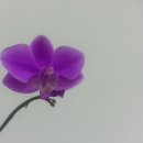 임홍준한의원 이미지