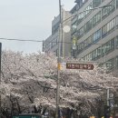 시대세탁소 | [사먹은것] 인천 구월동 코즈요리 후기