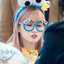 모모안경 Daum카페