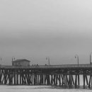 황금돼지갈비 이미지