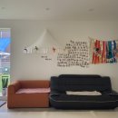 댕댕특별시 이미지