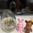 가드닝과 정원만들기 | 🌱 집에서 힐링 완성! 신선가드닝 테라리움 만들기 키트 솔직 후기 ✨