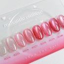 네일로코