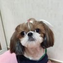 예지사료 이미지
