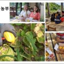 금수농장 이미지