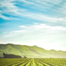 신길농장 이미지