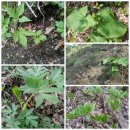 구성농장 이미지