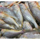 강산해 농장 이미지