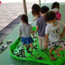 대창초교병설유치원 이미지