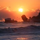송지커피숍