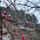 천지불교용품