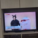 뇌 척수액이 두뇌청소시간 이미지