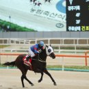 데이엔 이미지