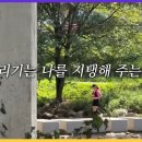 [저녁반] 나만의 부캐를 만드는 글쓰기 | [공지] 8년 동안 5km 이상 달리며 얻게 된 것들 전부 공유합니다 (필수 스트레칭 3가지, 초보 러너 꿀팁...