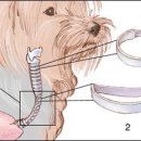 리더스동물병원 이미지