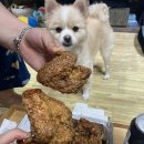 당신은지금치킨이땡긴다일산 네이버블로그